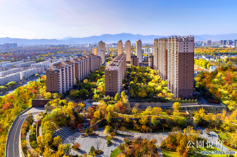 公园悦府实景